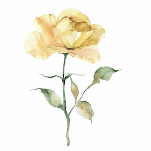 14 fiori gialli Clipart, stampa floreale gialla, clipart acquerello stampabile, PNG di alta qualità, download digitale, artigianato con la carta, diario spazzatura