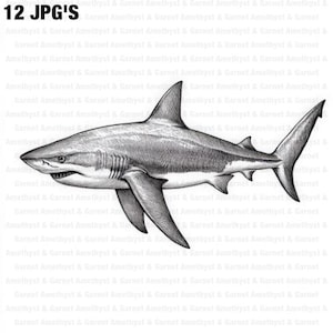 12 Hai Bleistift Schattierungen, Hai Clip Art Druckbare Aquarell Clipart, 12 hochwertige JPGs, digitaler Download, Papiermodelle, Junk Journals
