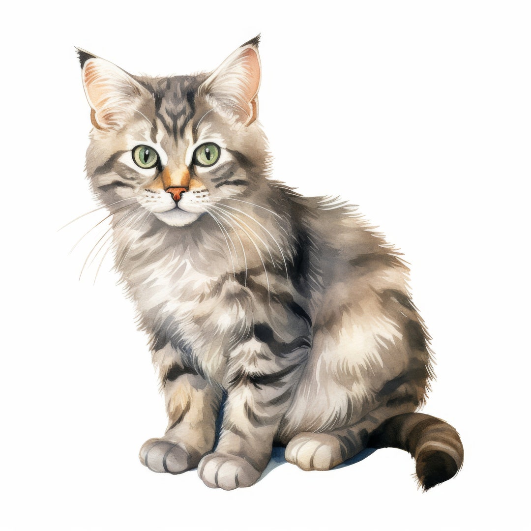 17 Cat Clipart, Cat Clip Art, Printable Watercolor Clipart, 12 High ...