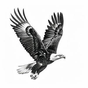 Clipart Charcoal Eagle Czarno-biały, 12 wysokiej jakości plików JPG, pakiet clipartów Line Art, sztuka ścienna, pobieranie cyfrowe, cyfrowy wydruk papierowych wyrobów