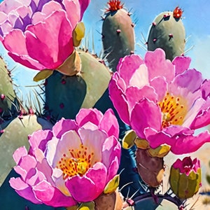 Flower Prickly Pear Cactus Print Watercolor Painting Botanical Desert ...