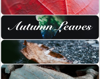 Autumn Leaves | Digital Download