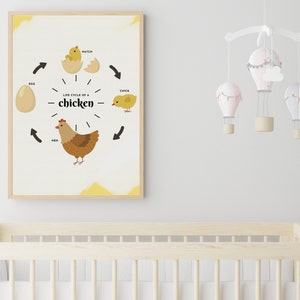 Ciclo de vida Montessori de un cartel de pollo, arte de la pared de la habitación de los niños