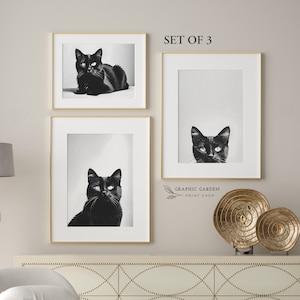 Pode incluir: Conjunto de três fotografias a preto e branco de um gato preto em diferentes poses. As fotos são emolduradas em molduras douradas e são exibidas numa parede acima de uma cómoda branca com detalhes dourados.