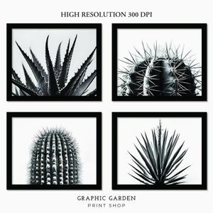 Set von 7 Sukkulenten Wand Kunst Bündel Kaktus Druckbare Schwarz & Weiß Galerie Boho Pflanzen Dekor Druck Botanische Gepaarte Kunstwerk Rahmen TV Download