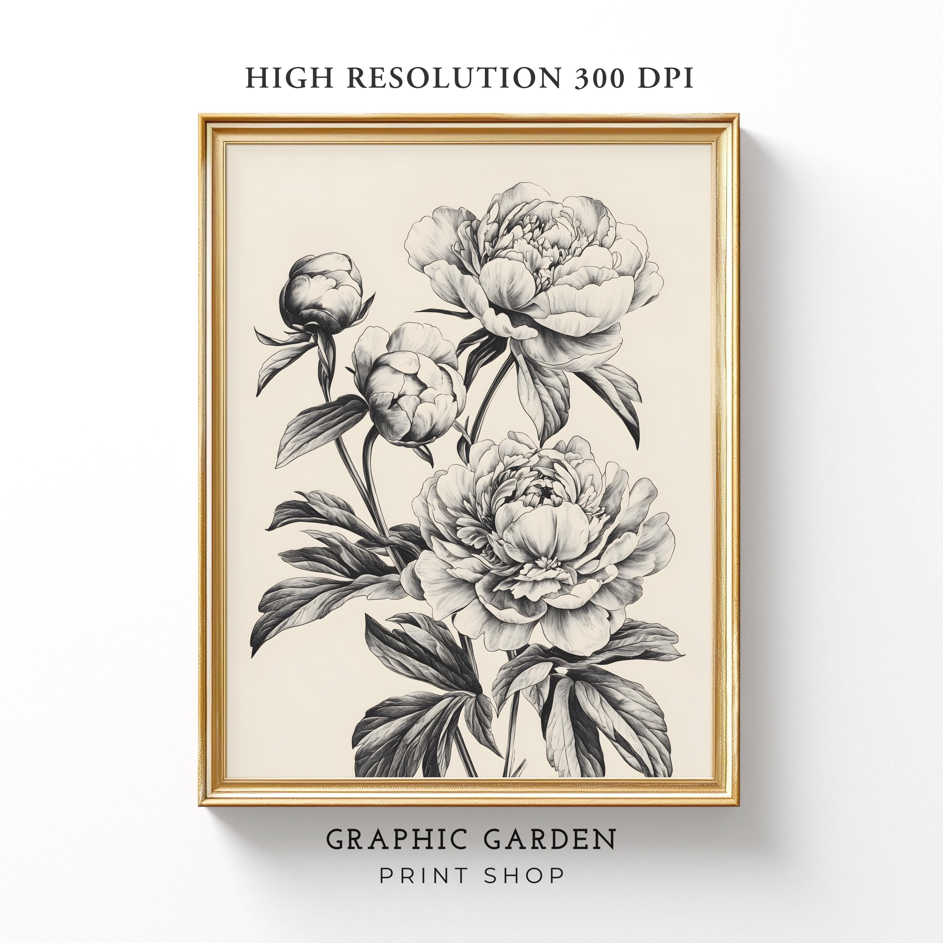 Line Art Peony Print, Botanical Drawing Wall Art, Black & White