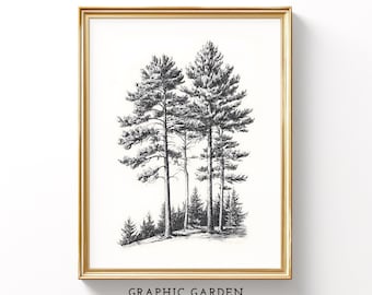 Line Art Forest Print, Pine Trees Drawing Wall Art, Vintage Sketch Printable, Rustic Nature Decor, Illustration Poster Digital Download