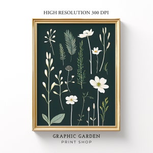 Fleur blanche botanique dessin vintage croquis imprimable Art mural antique amoureux des plantes impression vert foncé carré affiche foncé photo téléchargement