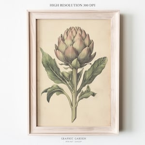 Tableau cuisine légumes du marché