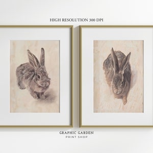 Puede incluir: Dos ilustraciones enmarcadas de conejos. El conejo de la izquierda mira al espectador, mientras que el conejo de la derecha mira hacia otro lado. Ambos conejos son marrones y blancos.