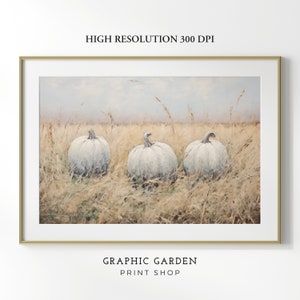 Peut inclure: Trois citrouilles blanches sont disposées en rangée dans un champ d'herbe sèche et haute. La citrouille du milieu est légèrement plus grande que les autres. L'arrière-plan est un ciel bleu doux et brumeux.