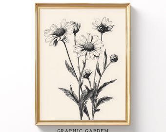 Line Art Daisy Print, Botanical Drawing Wall Art, Black & White Sketch Printable, Vintage Floral Decor, Illustration Poster Digital Download