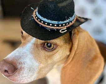 Handmade Cowboy Hat for Dogs & Cats: Western Pet Costume