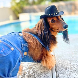 Dog denim overalls outfit with cowboy hat and glasses, adorable Halloween costume and perfect gift for dog moms who love stylish pet accessories.