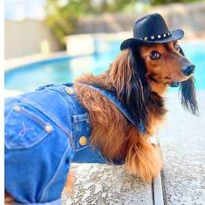 Adjustable Denim Overalls for Dogs - Dog Overalls, Dog Clothes, Dog Halloween Costume – Funny Dog Clothes – Dog Accessories