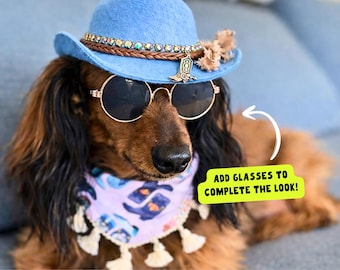 Chapeau de cowboy personnalisé pour chiens et chats | Costume country western fait main pour Halloween pour animaux de compagnie