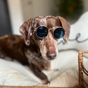 Pet Sunglasses – Small Dog & Cat Glasses with Strap | Pet Halloween Costume | Dog Accessories | Halloween and Christmas Gift for Pet Lovers