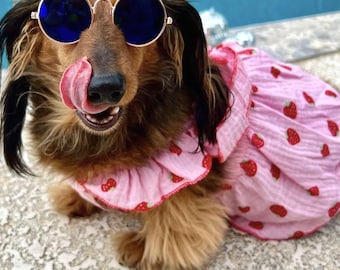Robe fraise pour chien : tenue d'été rose pour les petites races