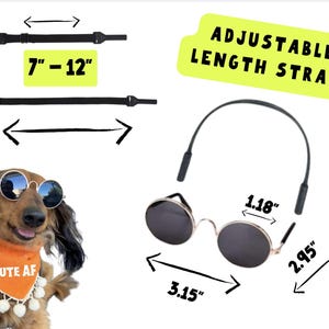 Sunglasses for small dogs with strap that adjusts for small to medium sized dogs and cats, making a cute outfit accessory for dogs.