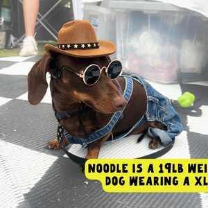 Western pet outfit bundle featuring blue denim dog overalls with gold snaps, a miniature cowboy hat, and pet sunglasses.