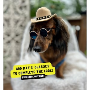 Small dog wearing adjustable denim dog overalls, cute and comfy dog outfit for small and medium dogs; perfect gift for dog lovers, dog moms, and dog dads.