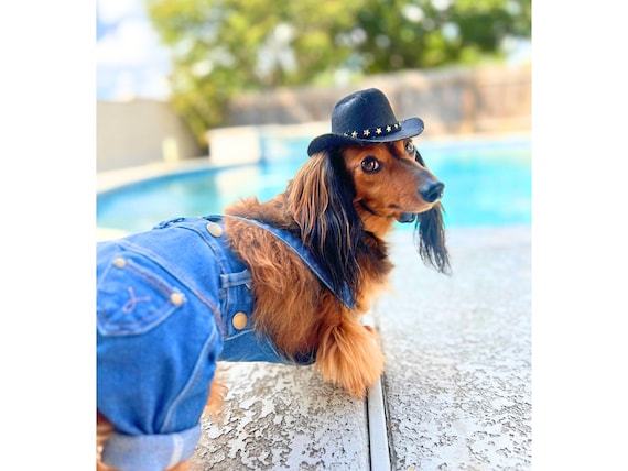 Adjustable Denim Dog Overalls: Pet Costume, Cowboy Hat & Sunglasses