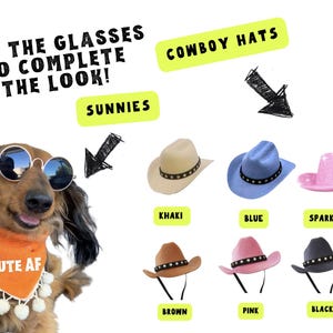 Cute dog outfit accessories. Cowboy hats for small dogs. Sunglasses for dogs.
