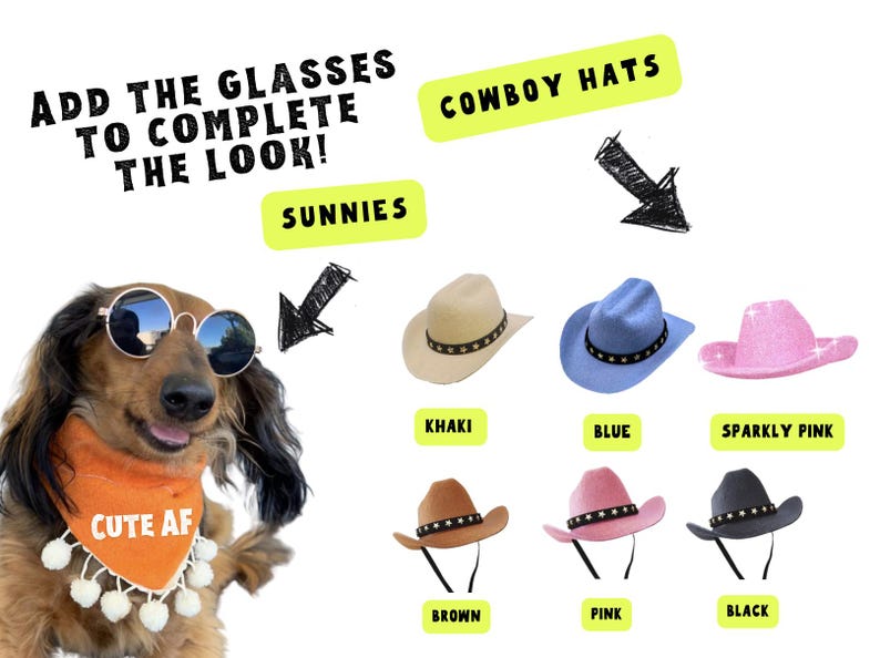 Cute dog outfit accessories. Cowboy hats for small dogs. Sunglasses for dogs.