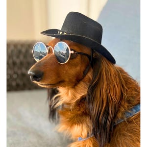 Dog wearing denim overalls with cowboy hat and glasses, cute Halloween costume and gift for dog moms.