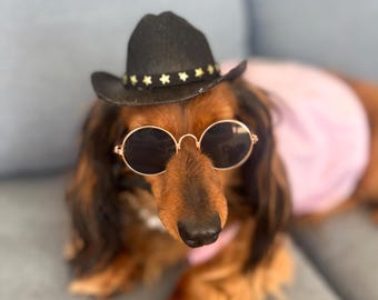 Black Cowboy Hat for Dogs & Cats: Western Pet Costume Photo Prop