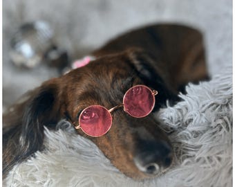 Lunettes de soleil roses pour chien avec bride réglable : accessoire de déguisement de petit chien et chat