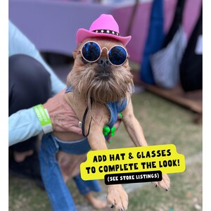Funny dog outfit with denim overalls and small dog accessories, making a cute dog costume for Halloween