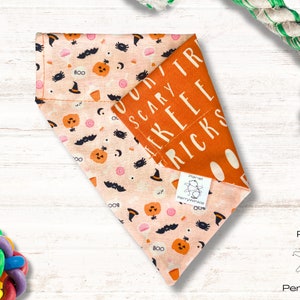 May include: A Halloween-themed dog bandana with a peach background and orange accents. The bandana features jack-o'-lanterns, bats, and the text "SCARY TRICKS". A small tag with the brand name "PerryWinkle" is visible.