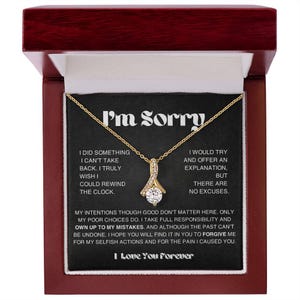 Het spijt me cadeau verontschuldiging cadeau ketting voor haar, vergeef me alsjeblieft cadeau vrouw, vriendin, vriend, vergeving, vergeef ketting