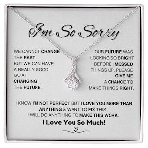 Het spijt me cadeau verontschuldiging cadeau ketting voor haar, vergeef me alsjeblieft cadeau vrouw, vriendin, vriend, vergeving, vergeef ketting