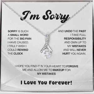 I'm Sorry Gift Apology Gift Necklace For Her, Please Forgive me Gift Wife, Girlfriend, Friend, Forgiveness, Forgive Necklace