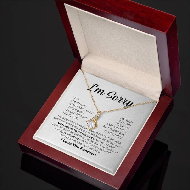 I'm Sorry Gift Apology Gift Necklace For Her, Please Forgive me Gift Wife, Girlfriend, Friend, Forgiveness, Forgive Necklace image 4