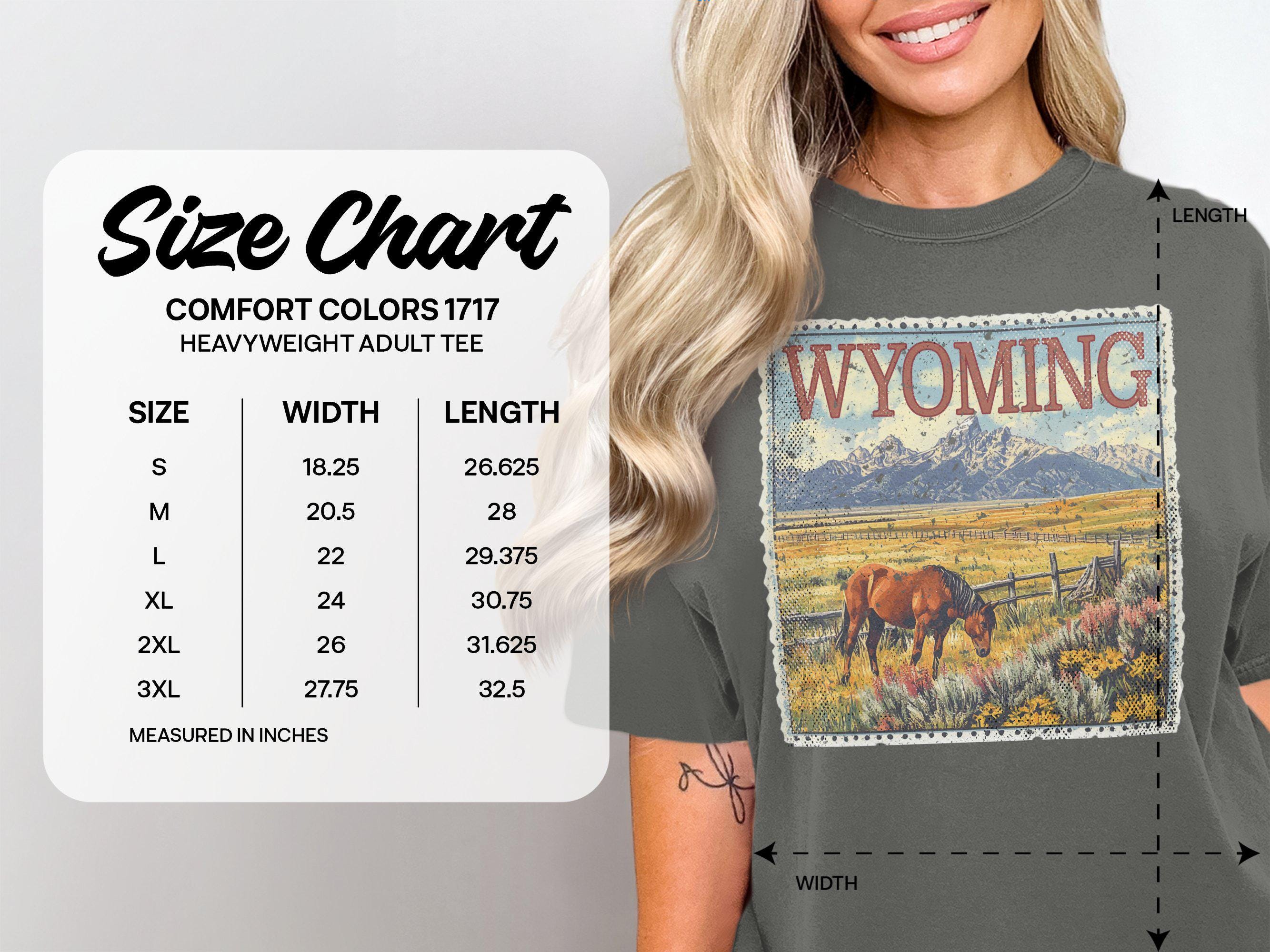 T-shirt Vintage Cowboy Wyoming Avec Cheval - Taille M Bleu - Marque Gildan - Style Western Extérieur