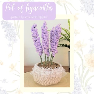 Puede incluir: Una maceta de jacintos de ganchillo con un borde de encaje blanco. La maceta está llena de material marrón y cinco jacintos morados. El texto "Pot of hyacinths" está en la parte superior de la imagen y el texto "pattern by: crochetwithjoyUs" está debajo.