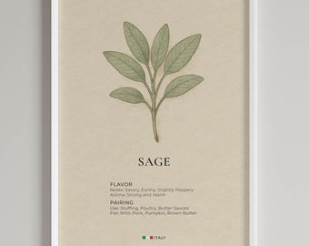 Sage Herb Print | Vintage Botanical Wall Art | Culinary Kitchen Decor