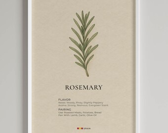 Rosemary Botanical Print | Minimalist Kitchen Wall Art | Spanish Culinary Guide