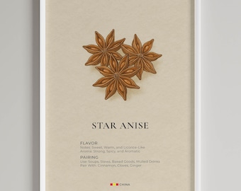 Star Anise Print | Vintage Spice Guide | Culinary Kitchen Decor