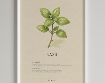 Basil Print Botanical Art | Italian Herb Guide for Kitchen Wall Decor | Digital Download