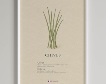 Chives Print | Minimalist Retro Kitchen Wall Art | Culinary Herb Guide, Digital Download