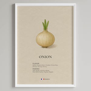 以下が含まれることがあります： 緑色の芽が付いた玉ねぎの詳細なイラストが描かれた額入りのプリント。 「ONION」という単語が下に表示され、フレーバーノート、ペアリングの提案、フランスの国旗も表示されています。