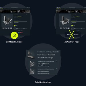 Professional Fitness Store Shopify Website Template