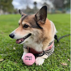 Jouet pour chien balle de tennis rose
