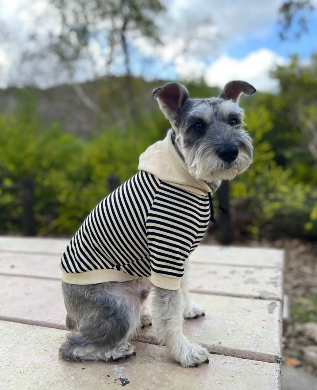 Okotoks Black and White Pet Dog Hoodie