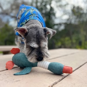 Squeaky Duck Toy