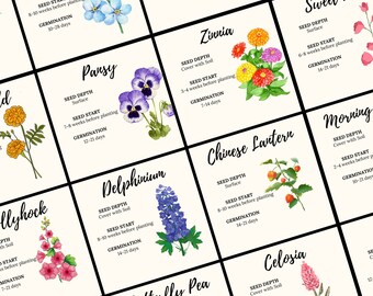 40 Flowers seed Starting Cheat Sheets - 40 varieties with Complete Care and Guidance - Gardening Planner - Nursery Care - Plant Care 2024